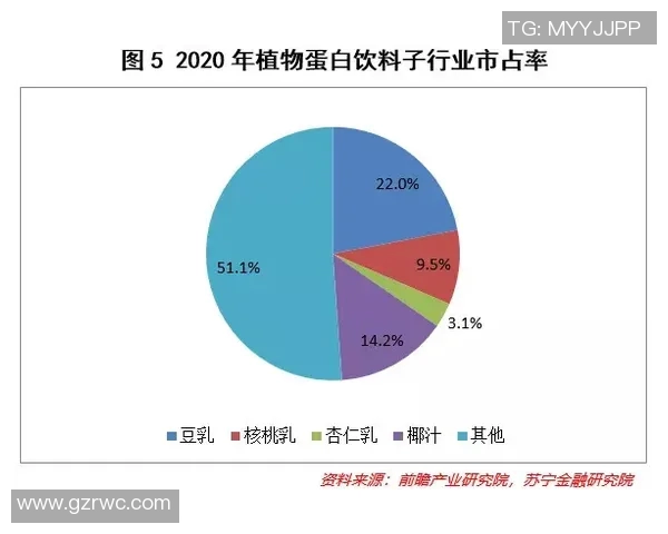 希腊与匈牙利足球实力全面对比分析及未来发展展望