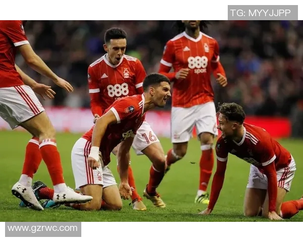 加的夫城与热刺对决前瞻分析球队状态与战术解析