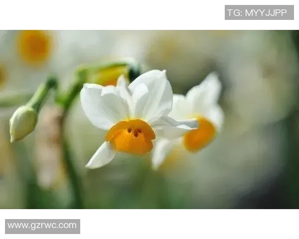 贾诚:从平凡到卓越的奋斗之路与人生智慧分享 贾诚:从平凡到卓越的奋斗之路与人生智慧分享