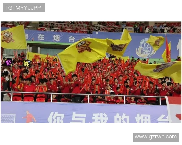 球迷燃情助威,为心中的偶像打出最热烈的助威声!